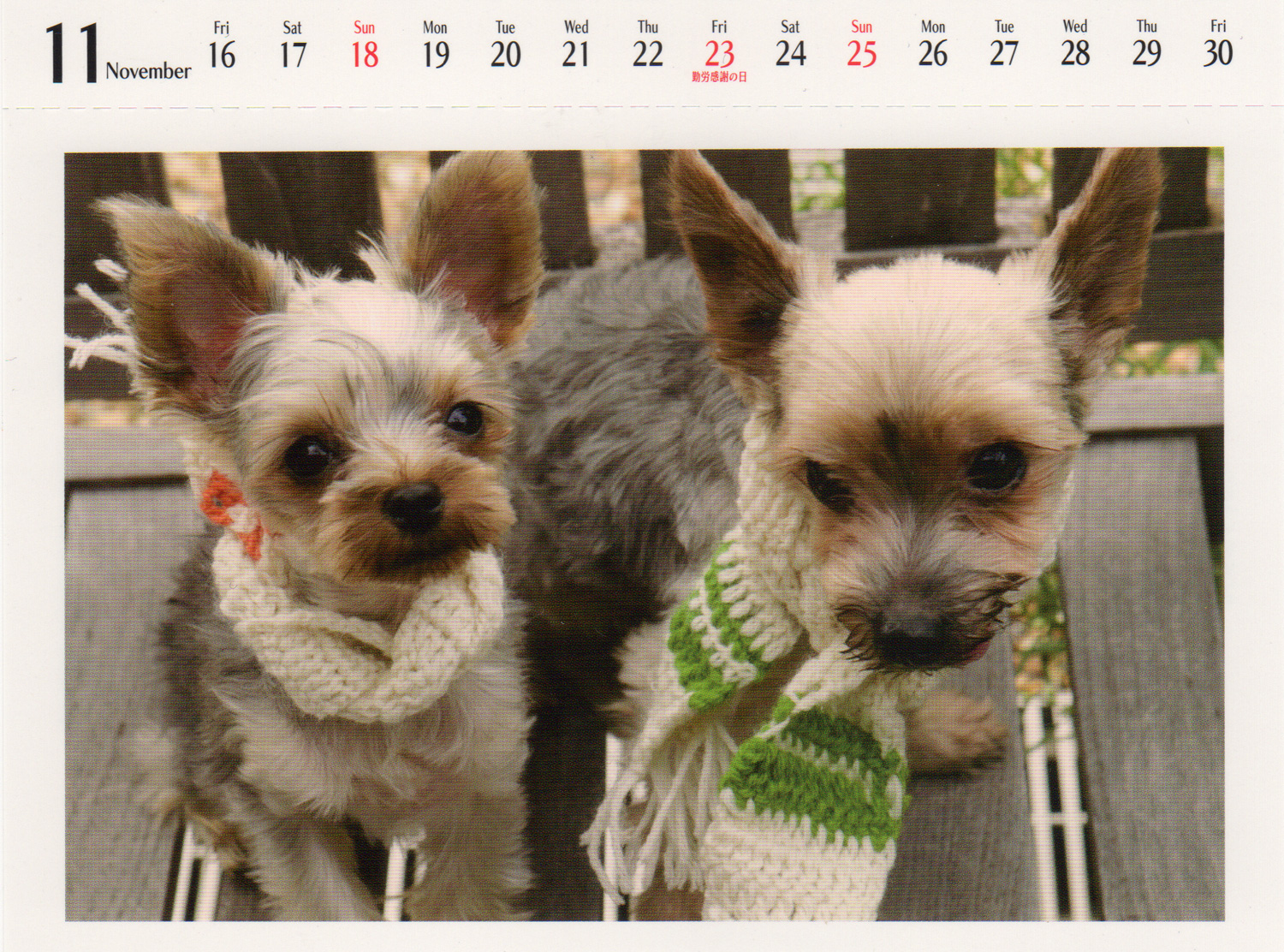 11月その2