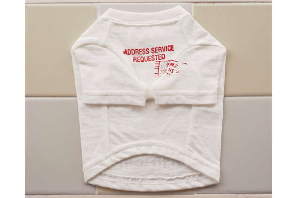 アトリエジジ　ヴィンテージTシャツ