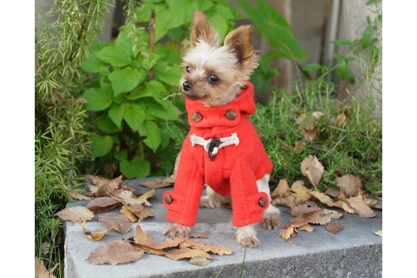 アトリエジジ　ダッフルコート　犬服